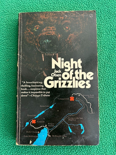 Night the grizzlies - night,